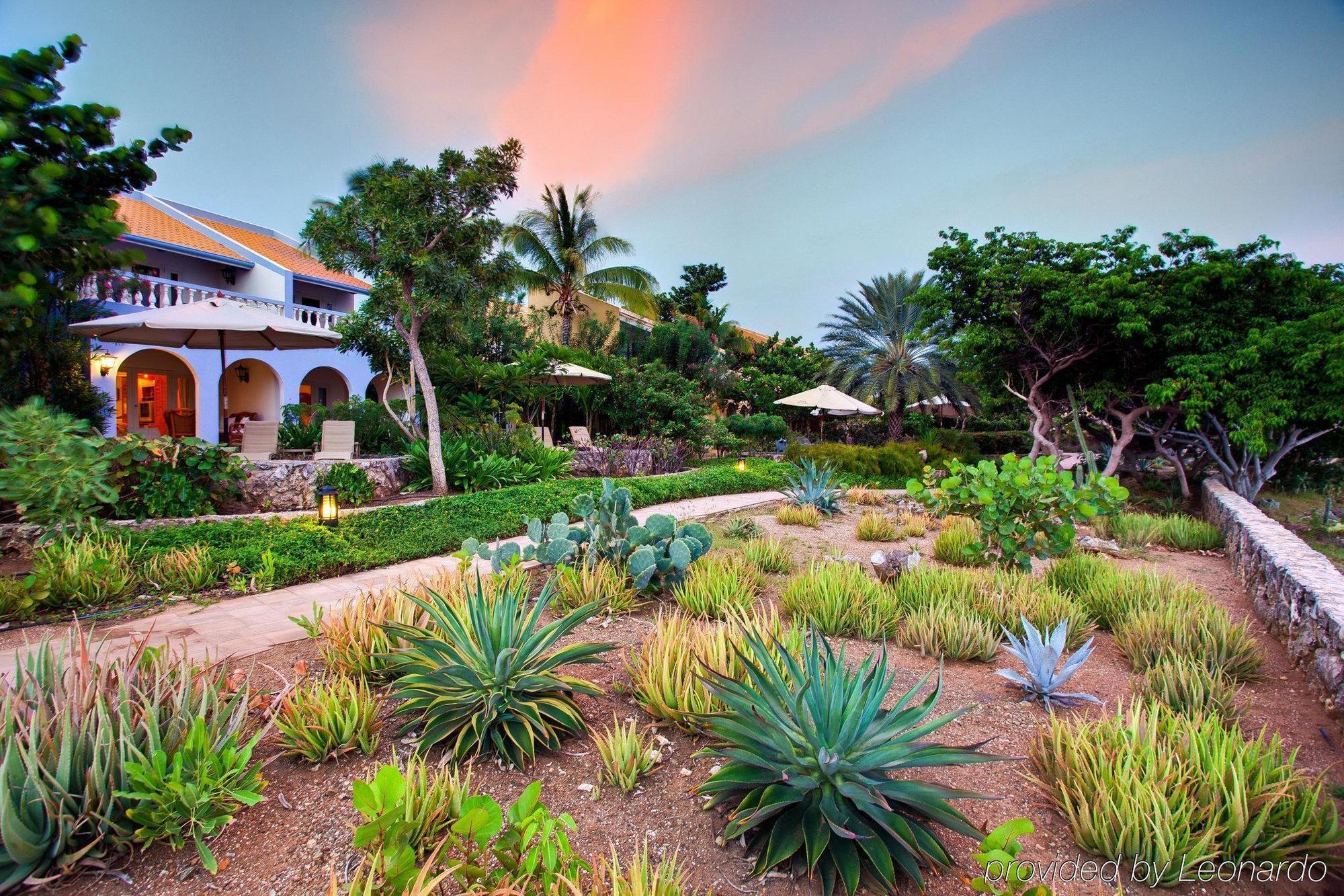 Kura Hulanda Lodge & Beach Club Westpunt Konforlar fotoğraf